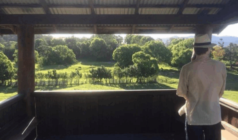 Looking Forward To Now